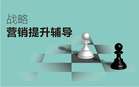 戰略營銷提升培訓輔導